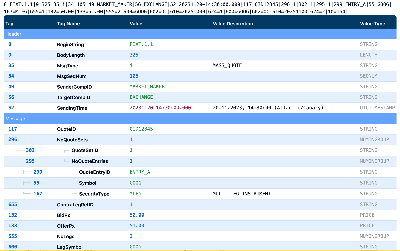 FIX Message WebComponent